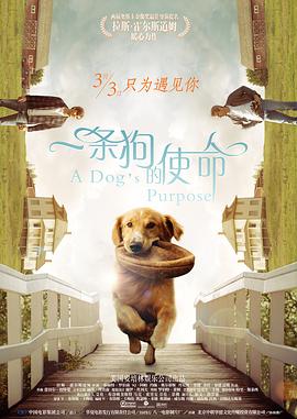 大胆尝试